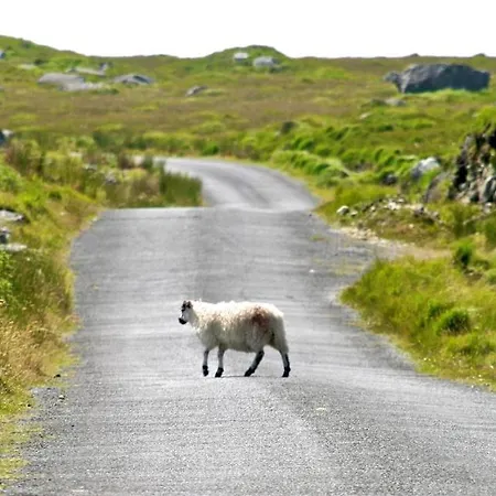 Fough East, Casa vacanze *