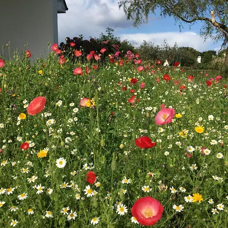 Casa vacanze Fough East, Oughterard