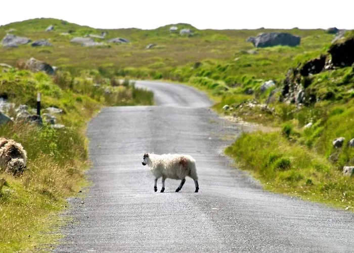 Fough East, Vakantiehuis *