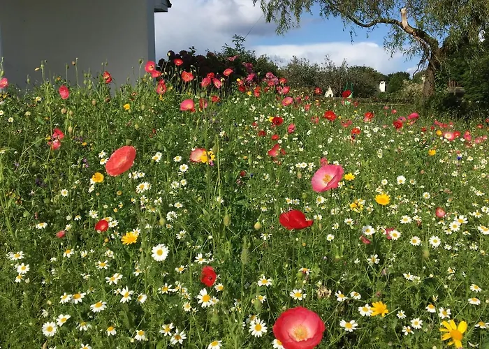 Vakantiehuis Fough East, Oughterard